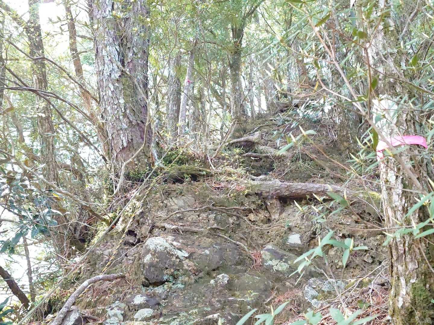 ロープも現れてきました😅