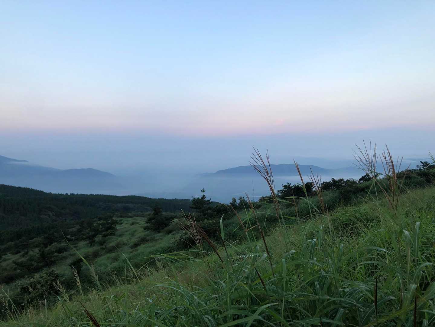 開いたばかりのススキの穂
小さな秋🌾