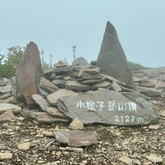 小根子岳🐱　2,127m  とーちょー❗️

猫耳が凛々しい🐱