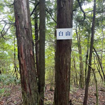 中間