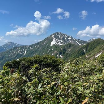 大水上山より