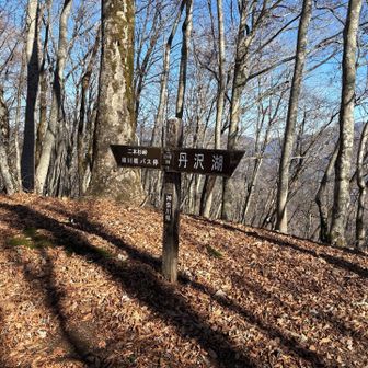 世附権現山のピークは広く、ミツバ岳分岐という道標のある分岐点になっている