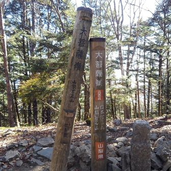 大菩薩嶺山頂到着、周りは樹木で見晴らしは有りませんが、多くの人が列をなして案内柱とともに写真を撮っておられました。この柱の下が腐って固定されておらず、寄りかかるとすぐ倒れていました。注意！