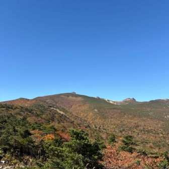 少し色づいていますね
