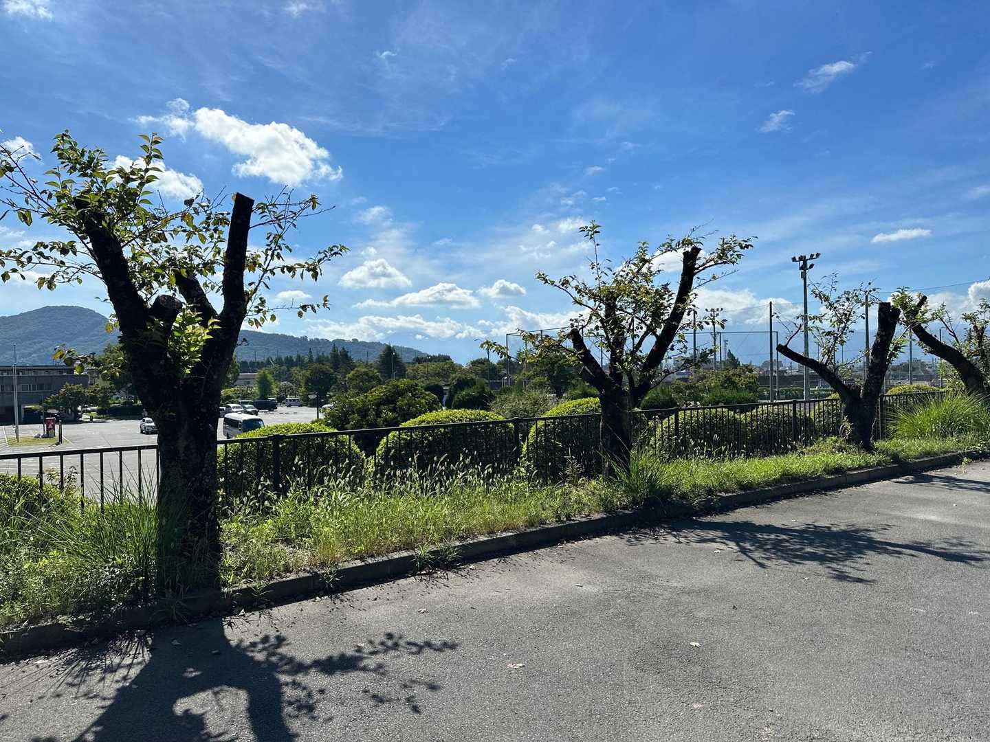 甲府市緑が丘スポーツ公園🛝
ここからスタートしました▶️
富士山は見えませんでした🥹