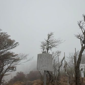 障子岳山頂は真っ白⛰️☁️