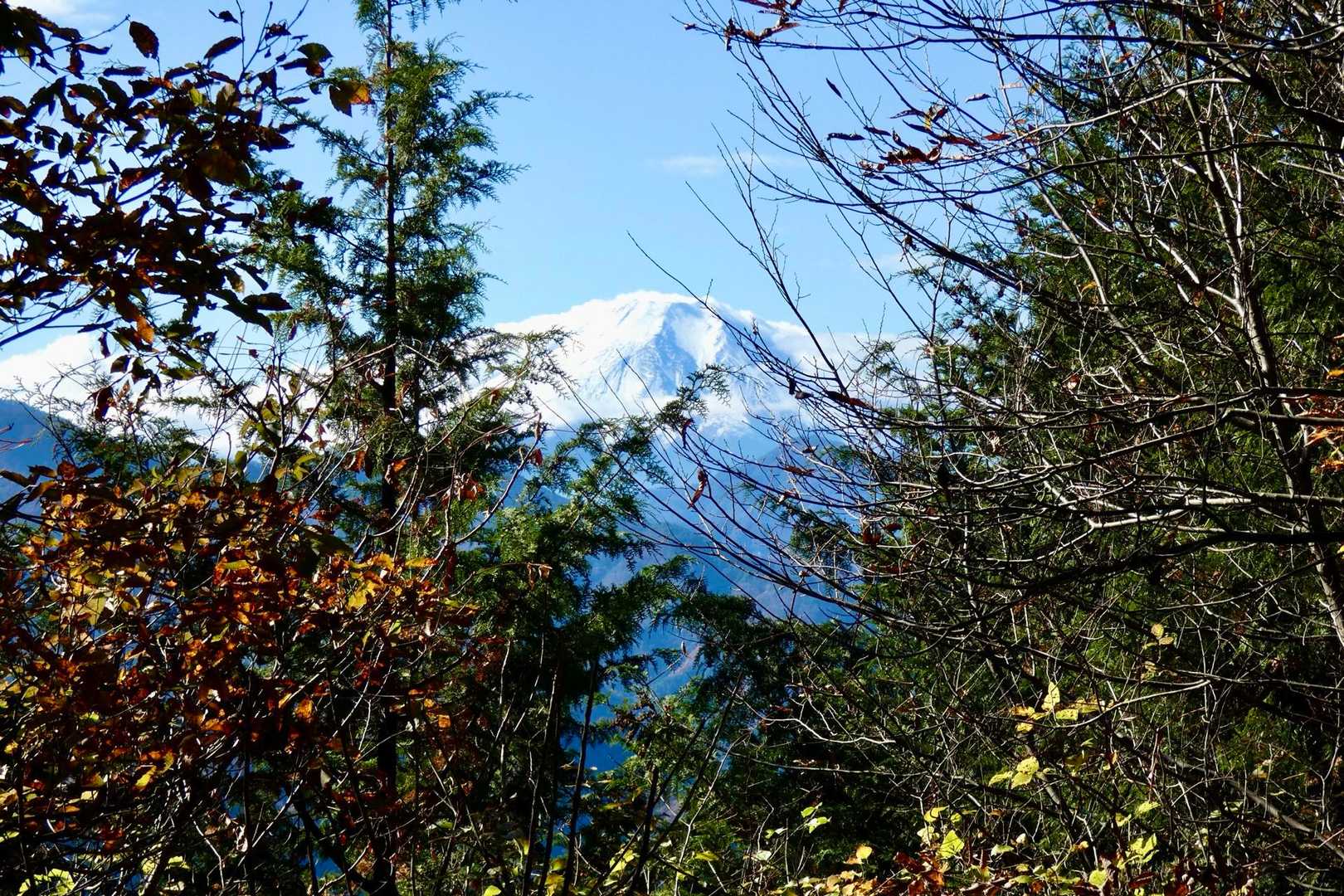 大月市秀麗富嶽十二景
9番山頂　高畑山
先人のみなさんのレポにある通り、木が〜😭
剪定したくなっちゃう✂️
大月市のご担当職員の方に伝わりますように🙏