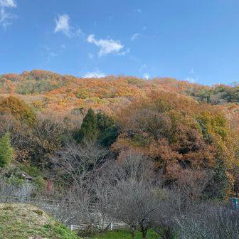 おつかれ山でした