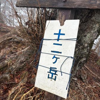 ラスト　じゅうに！