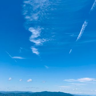 愛宕山が見えてるそうです