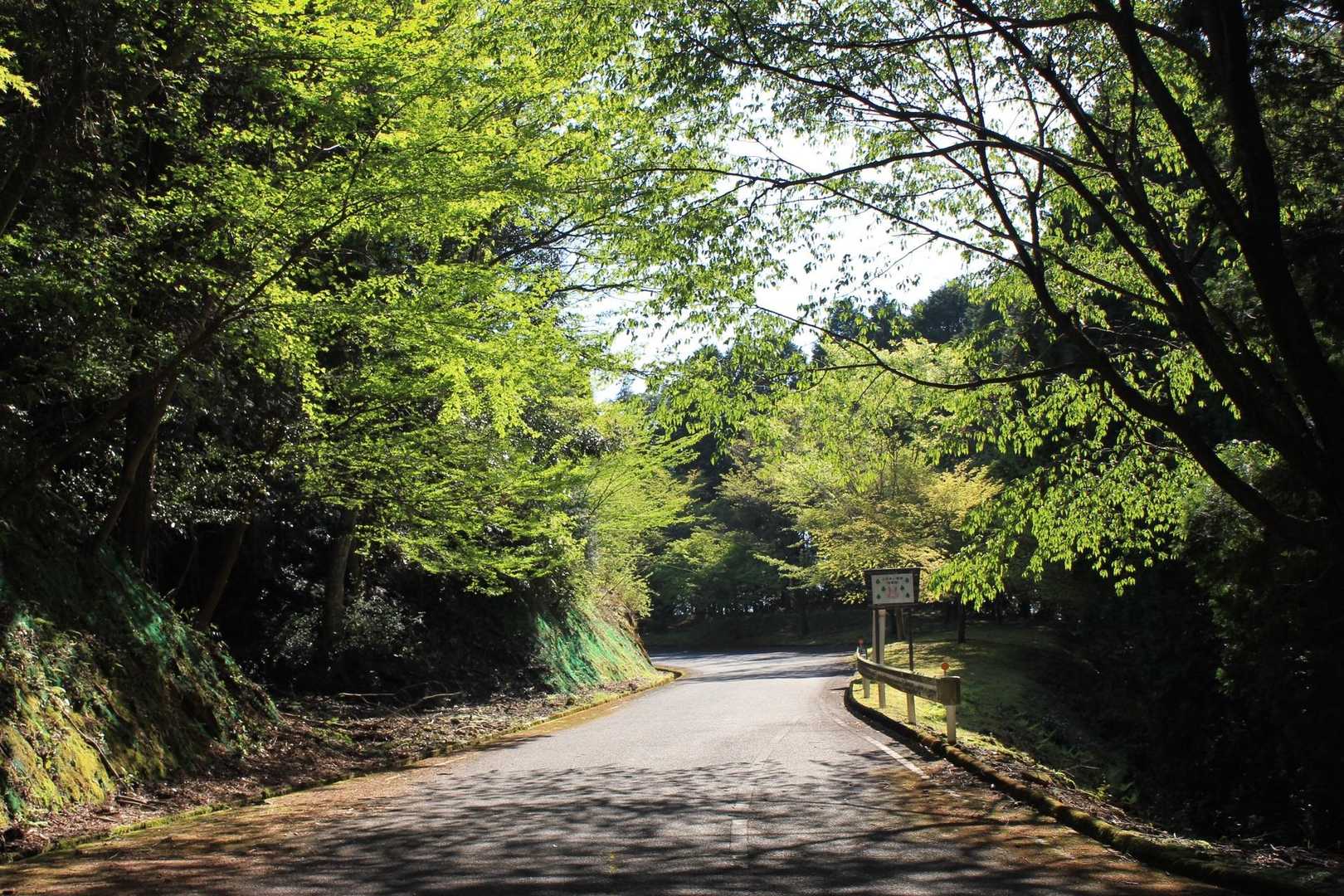 あとはロード歩きで駐車場へ戻ります。