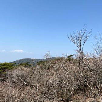 天候に恵まれて絶景です。