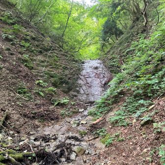 左のロープ使って登りました😅
