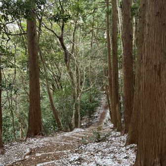 天拝山〜奥天拝山間はこんな感じでした