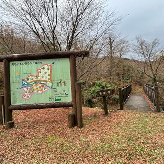 ここの遊歩道行かない方がいいです😭