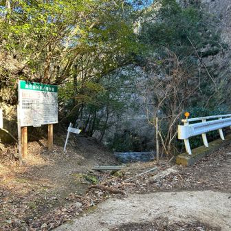 帰路はこちらへ。林道？に出てあとは余裕かと思うも…