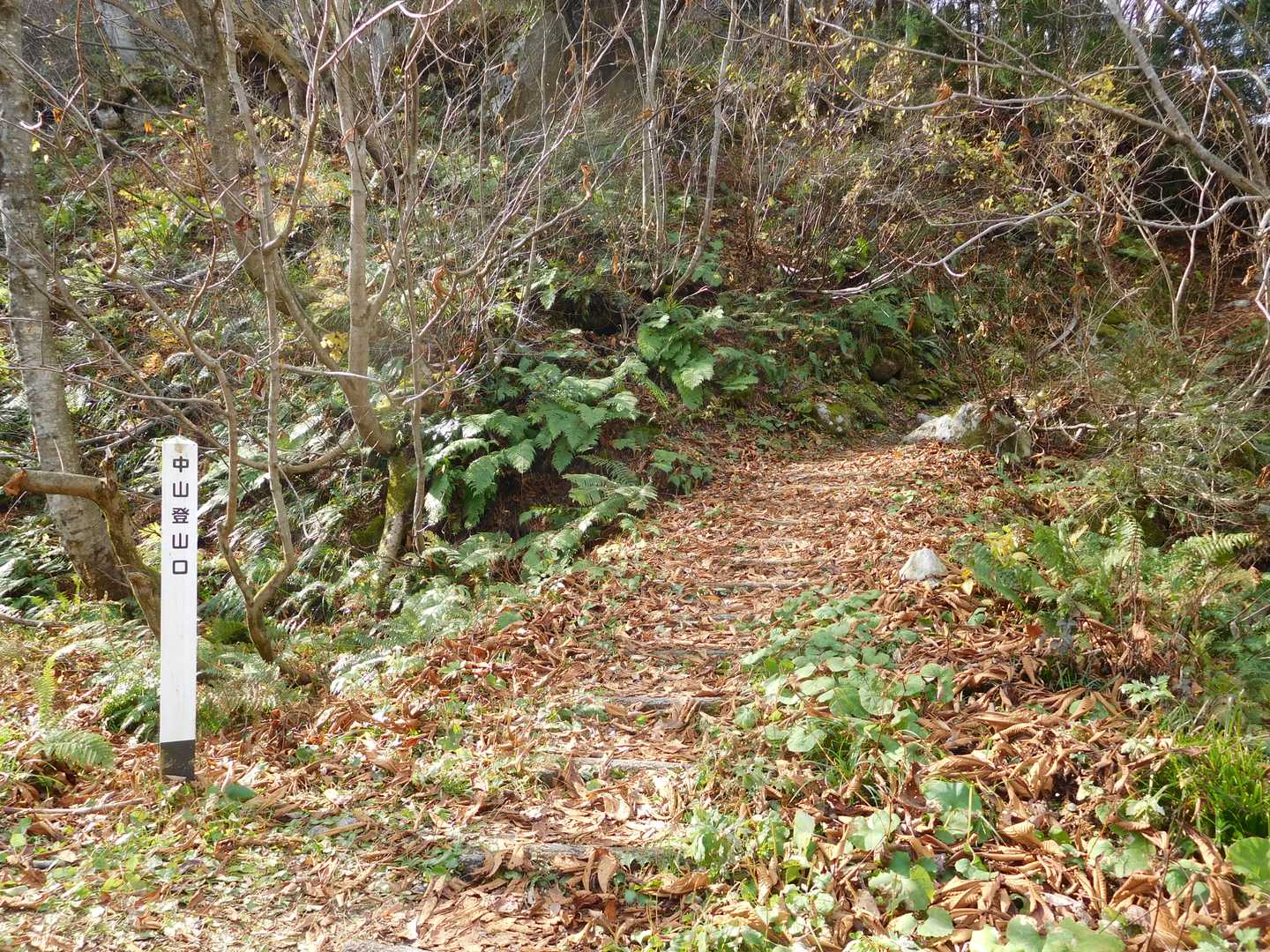 登ります。