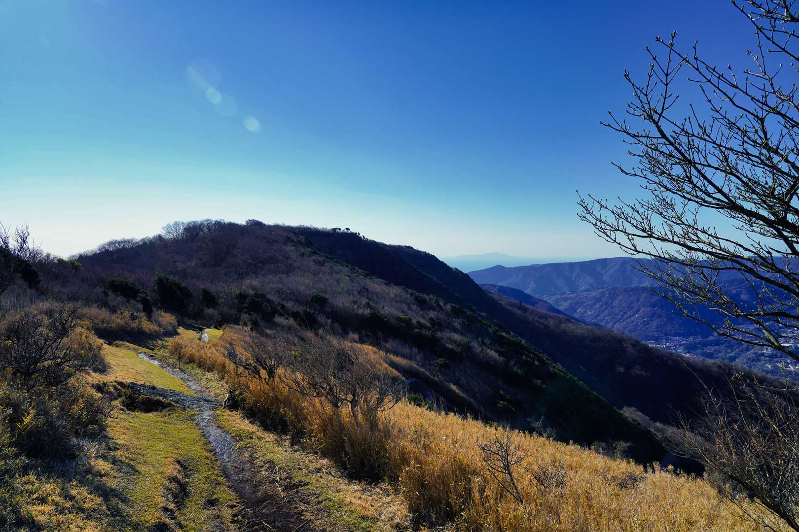 矢倉沢峠-明神ヶ岳 往復コースの写真