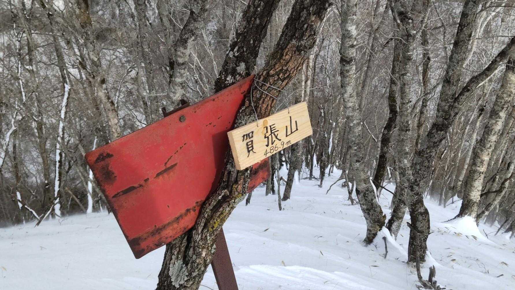 苦労しましたけど山頂に着いてホッと しました⤴️