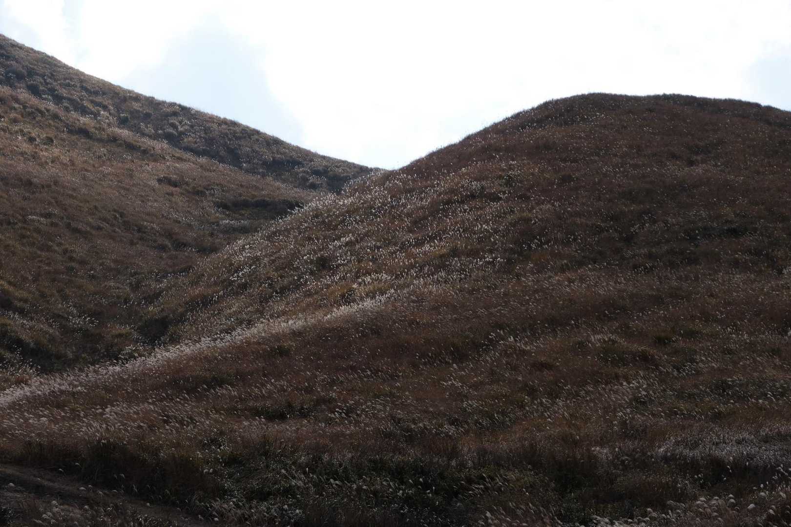 中峠-広谷台 往復コースの写真