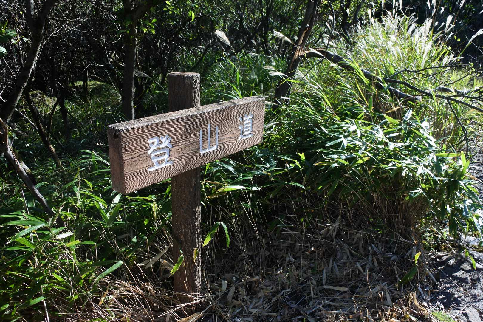大曲の登山口からスタート。