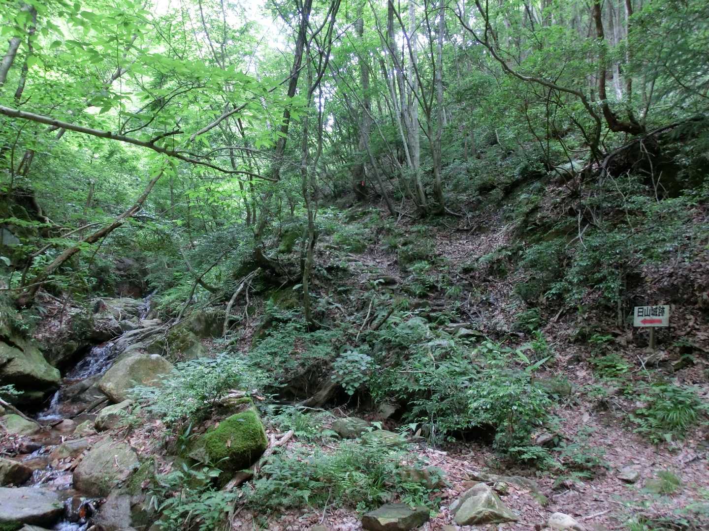やがて沢沿いの道となると