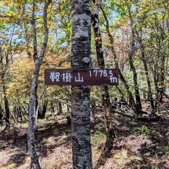 鞍掛山
(倉掛山!?)登頂！