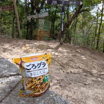 この辺りでゴミはパンパンに