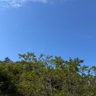 しかし暑い。

でも温度測ったら負ける気がしたから見ない🤫

ハイドレーションで水を少しづつ飲みながらバテないように・・・