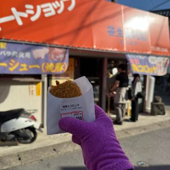 降りてきました　お肉屋さんのコロッケ、今日は買ってみた　海で食べよう🌊