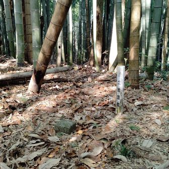 矢立山山頂かな