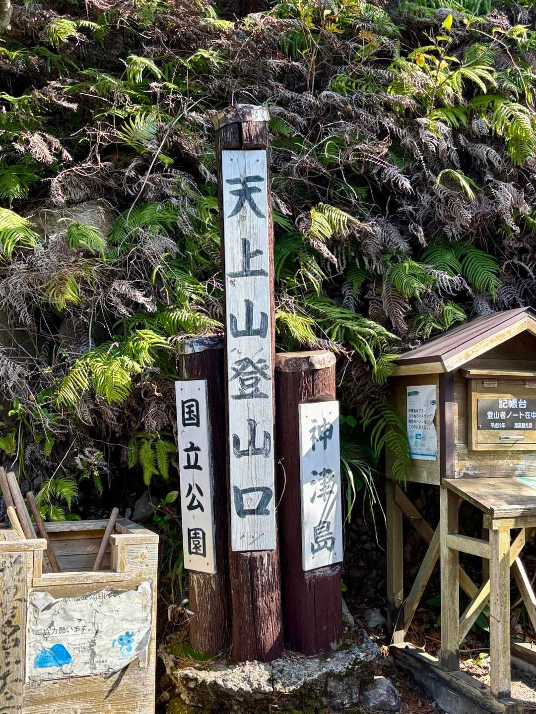 登山開始です⛰️