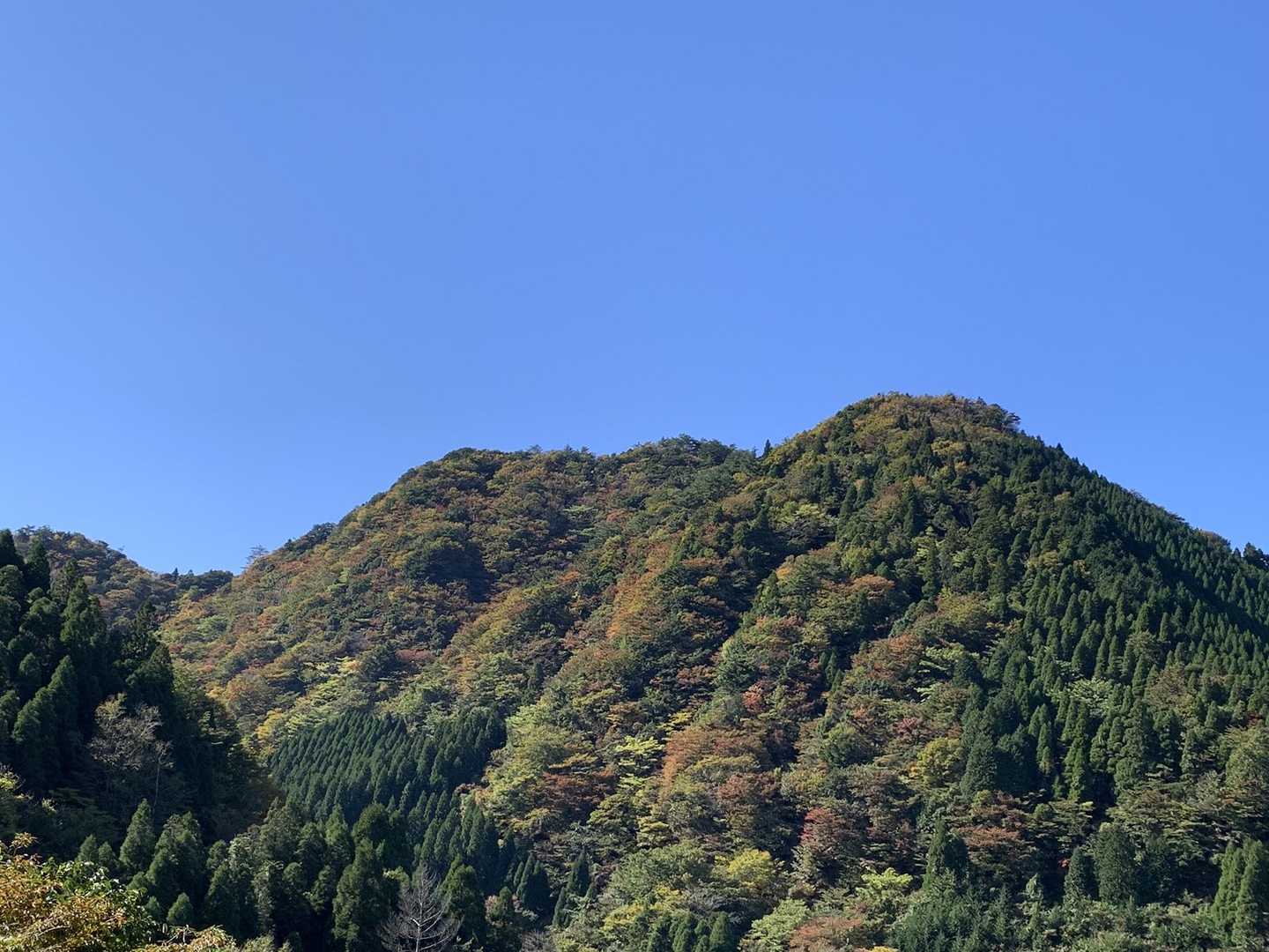 釈迦岳-釈迦岳-御前岳 周回コースの写真