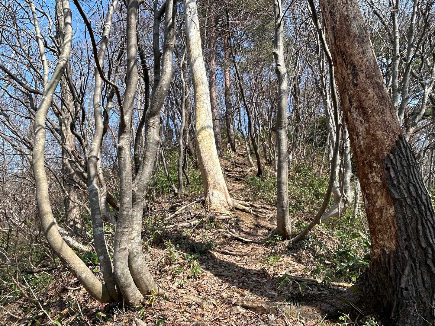 今日は天気が良い🙆