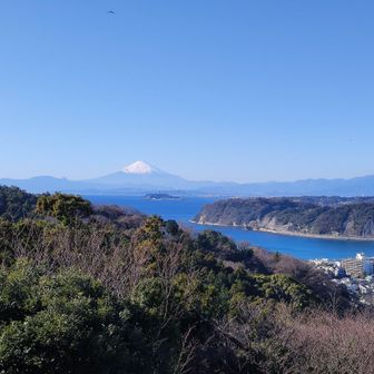 案の定、綺麗に見えました。