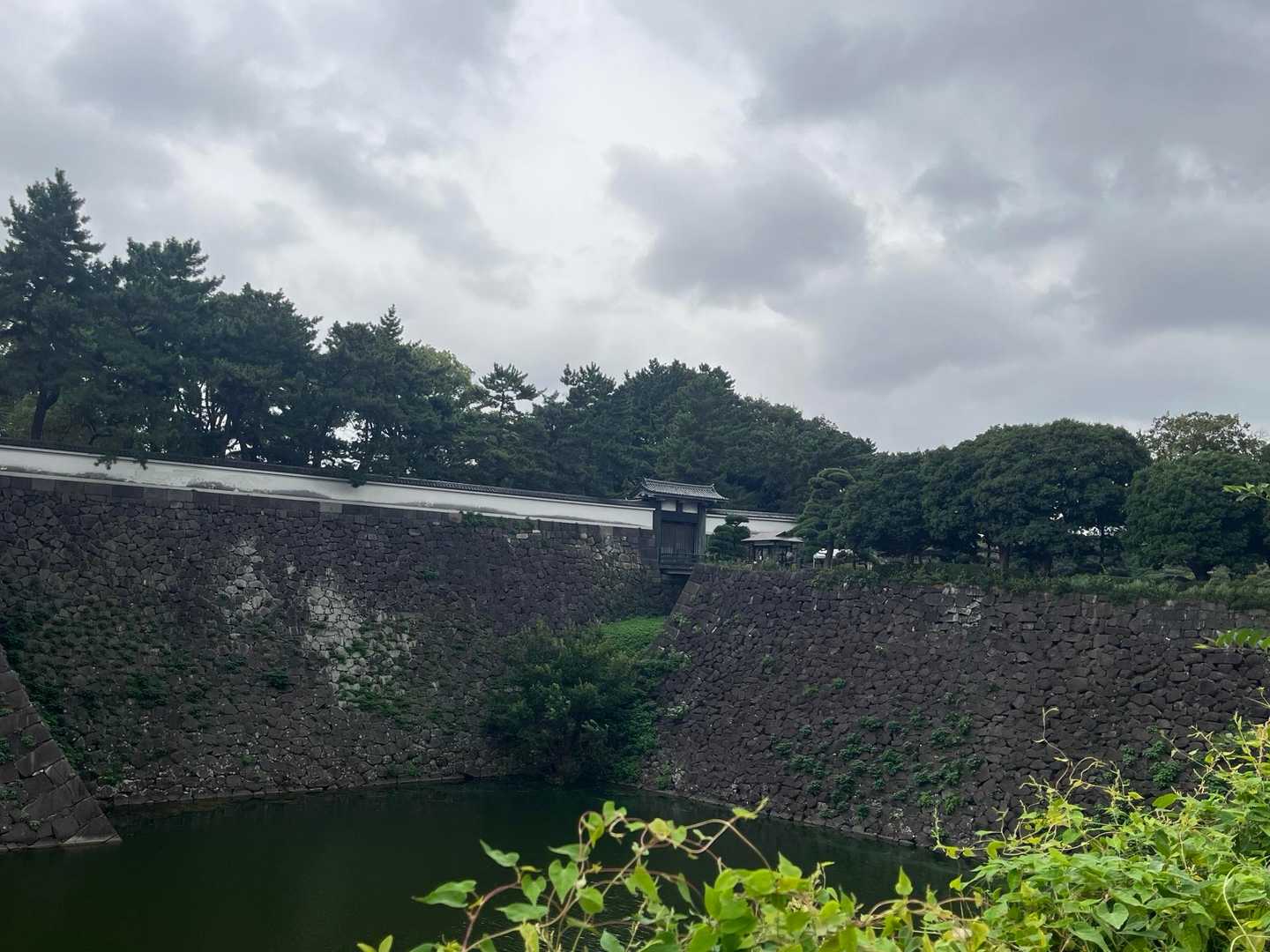 こんなに高い石垣登れない💦