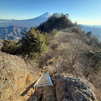 長いアルミのはしごを下ります。
