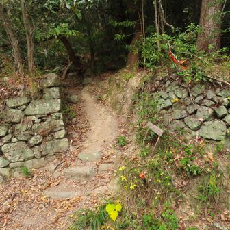 登山口はココ
途中に階段の登り道もあったので勘違いしそう