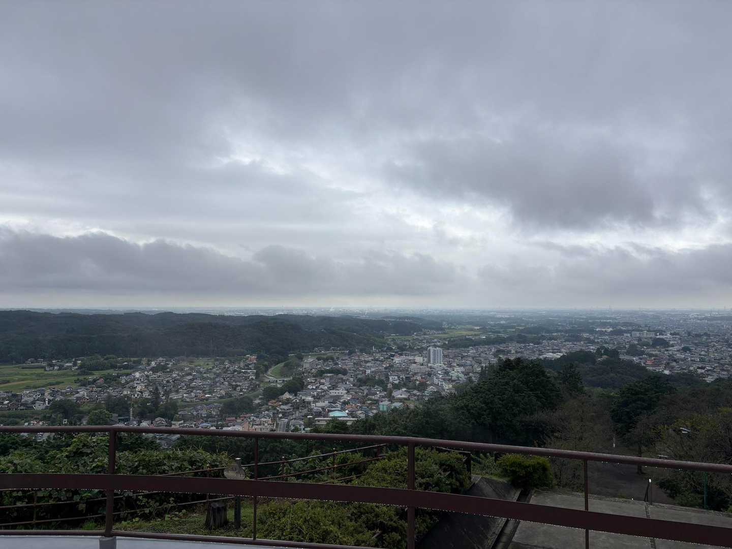 大観山-根っこ山-大高取山 往復コースの写真