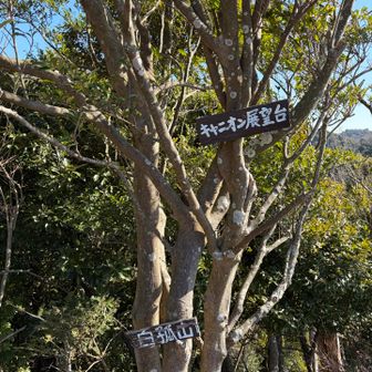 私だけで白狐山というピークに寄り道
夫は先に駐車場にのんびり戻るそうです〜
ここに登るのも急登だった💦