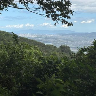 左側を木の隙間からアップで。和歌山港近くのコンビナート群っぽいのが見えました。その向こうはたぶん淡路島
