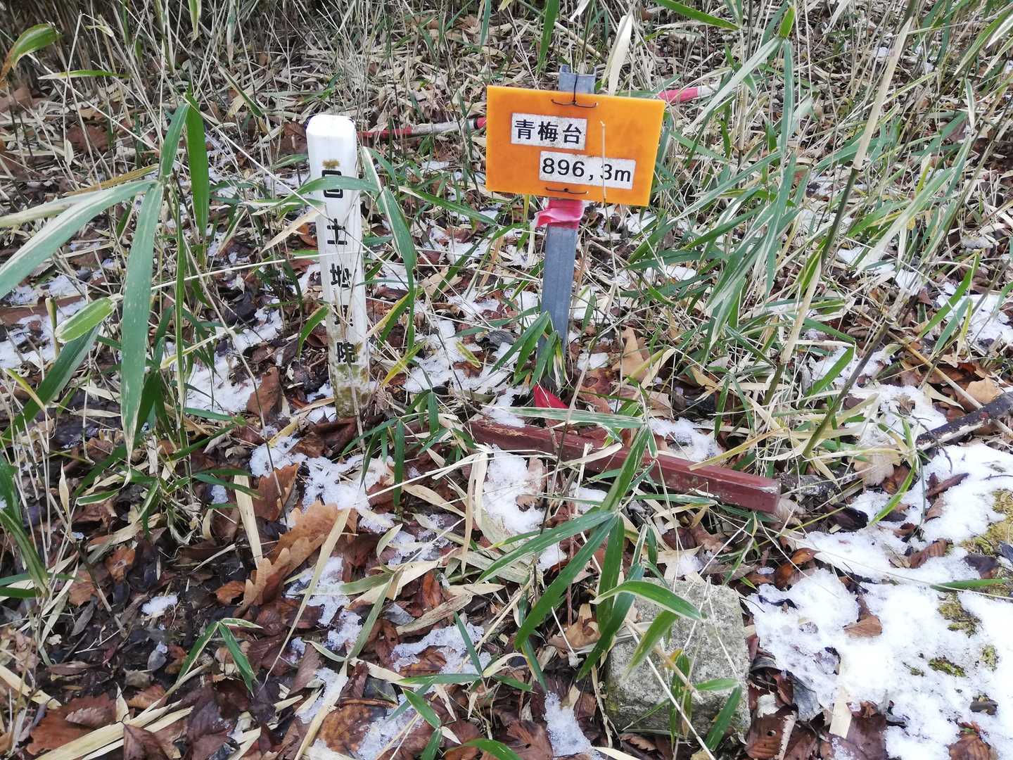 青梅台⛰️登頂🎉🎊🎉