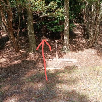 魚谷峠の左右に広くて歩きやすい道があったけど、どちらを歩いてもルートが外れる😅あれ？
魚谷山へは真ん中の登り坂に進みます💪
