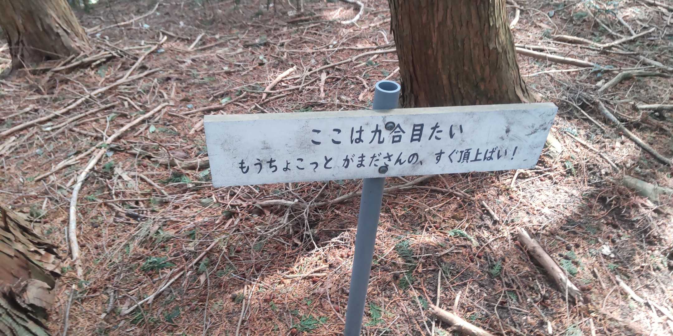 がま出すばい💪