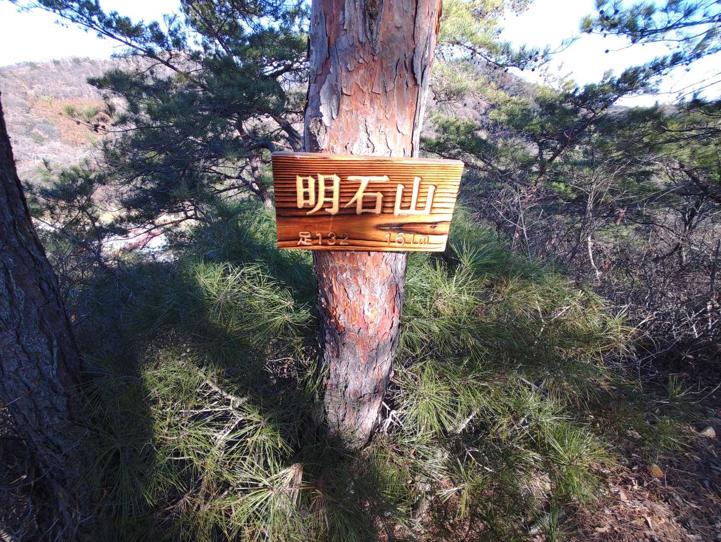 足利市駅-織姫神社登山口-鏡山-両崖山 往復コースの写真