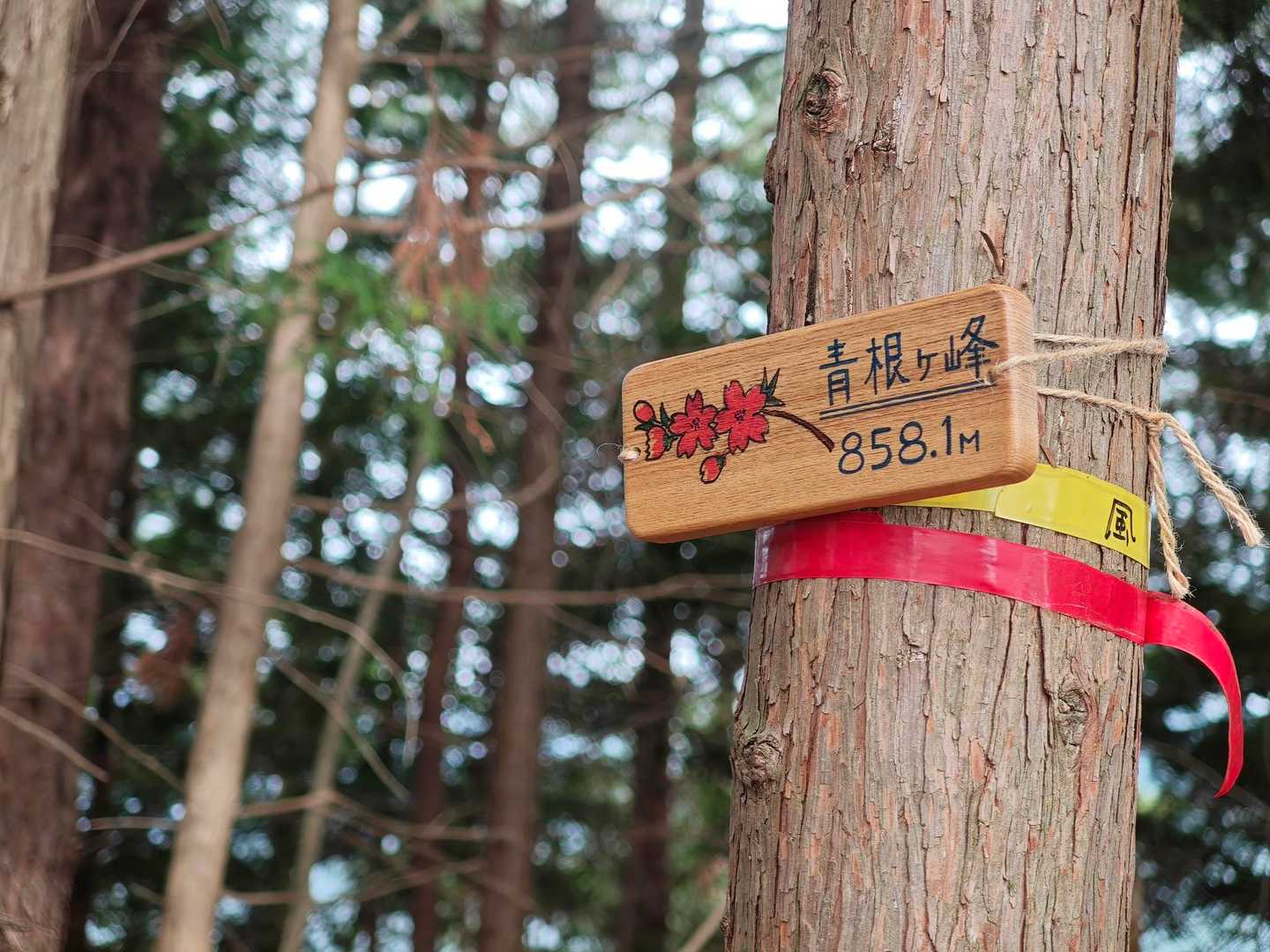 ここが今日のゴール 青根ヶ峰