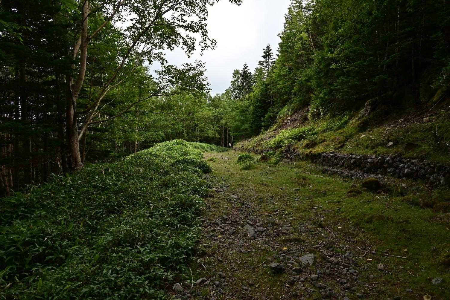 暫く平坦な道