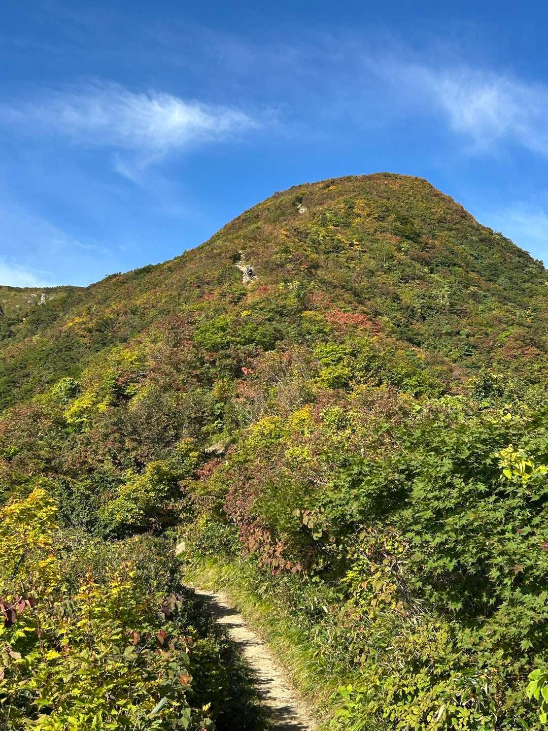 紅葉して良い感じ🥰