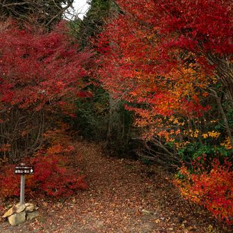 やっぱここ綺麗