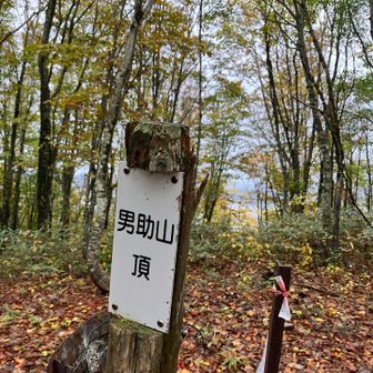 登頂！
男助山（おすけやま）

ザックは地面に下ろさず
奴に注意しながら
コーヒーを飲んで
ゲザーン